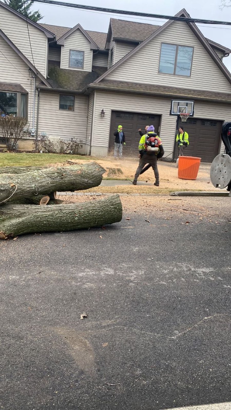 Tree Amigos crew on the job