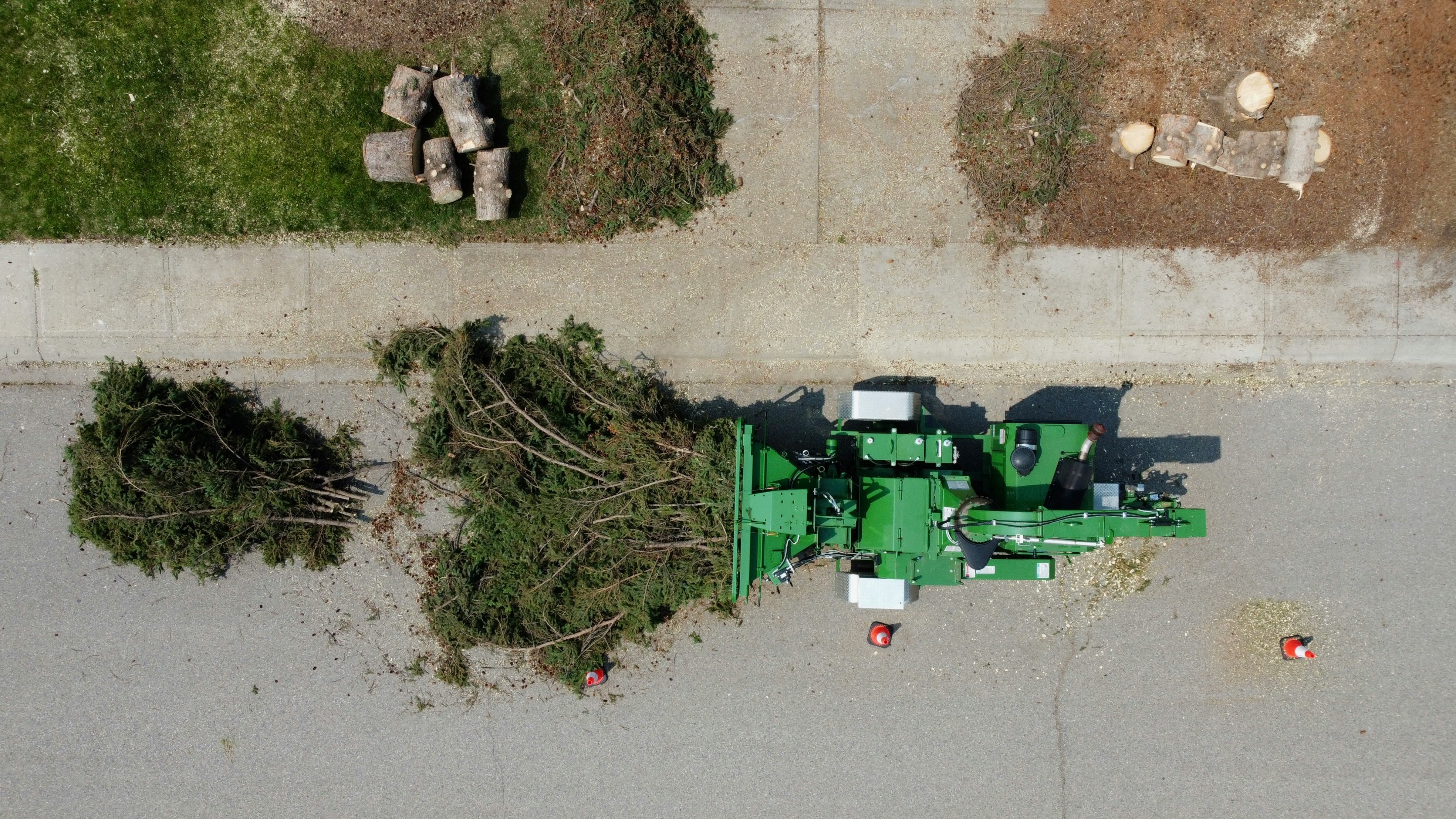 Stump Removal service by Tree Amigos Austin