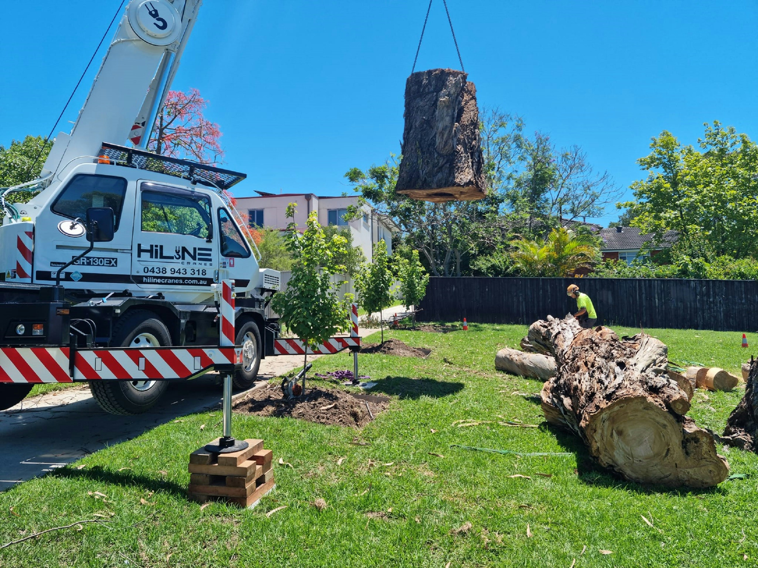 Tree Removal service by Tree Amigos Austin